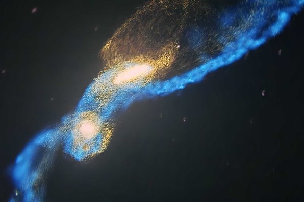 Galaxy merger simulation