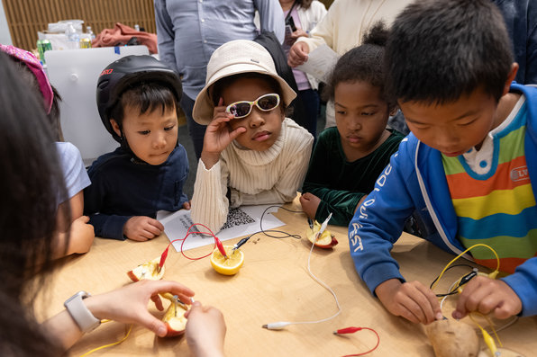 Fruit Batteries Demo