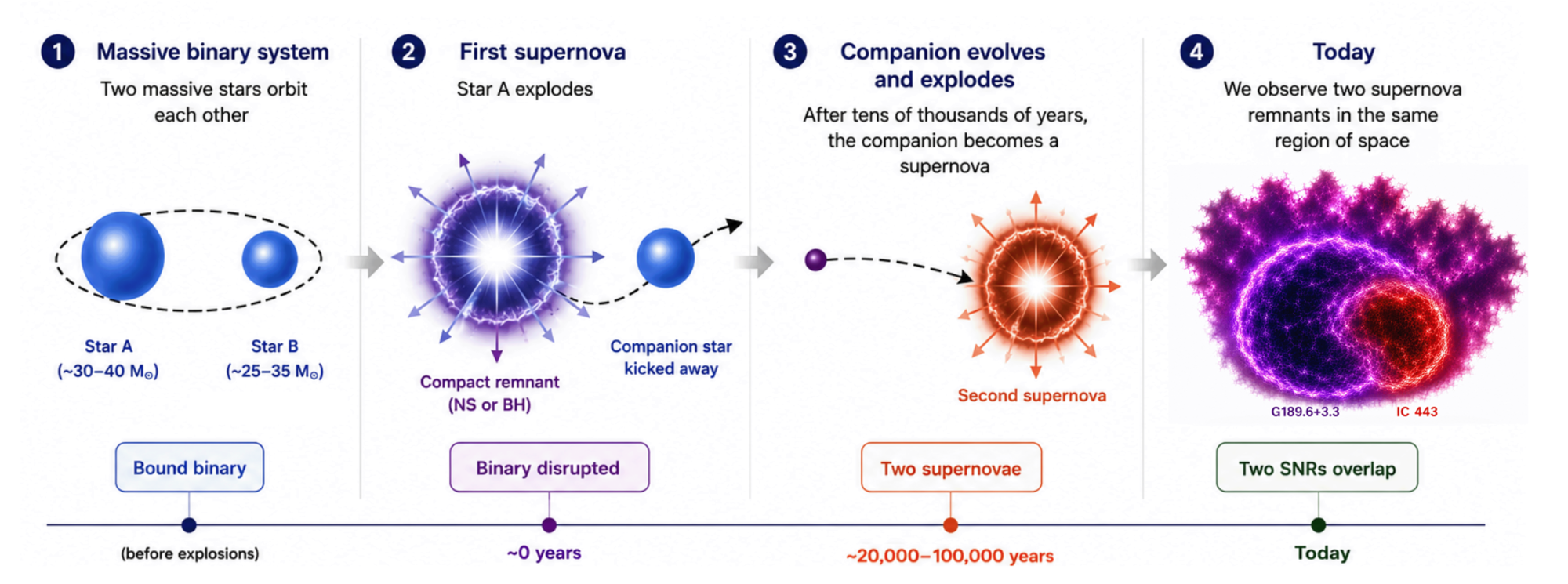Artist's illustration showing the theorized process for binary systems to evolve into linked supernovae.